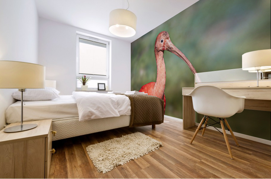 4034 Mural print
