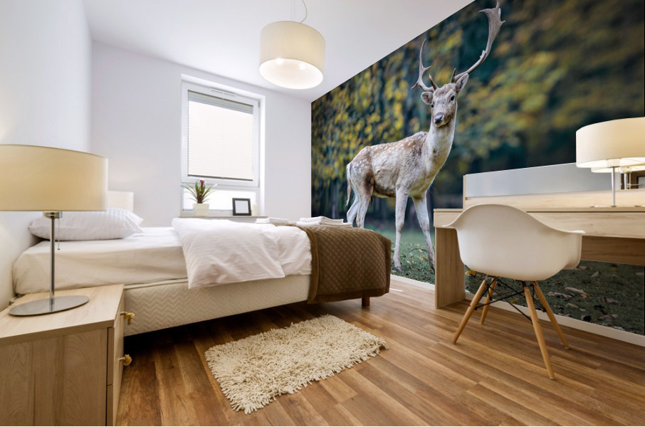 4048 Mural print