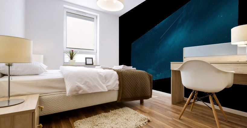 4062 Mural print