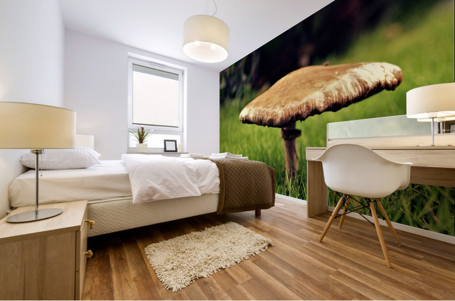 4086 Mural print