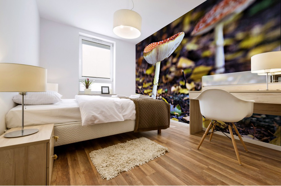 4088 Mural print