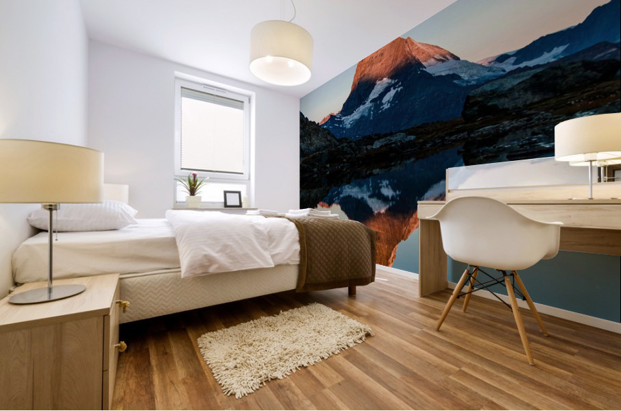 4132 Mural print