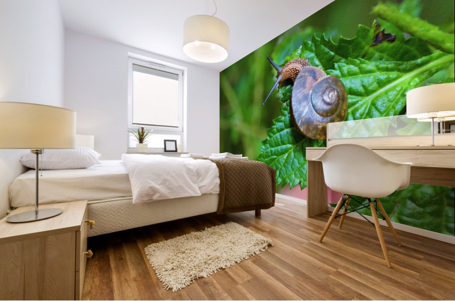 4136 Mural print