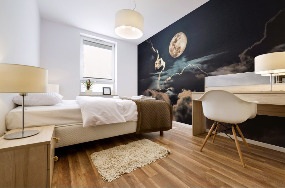 4143 Mural print