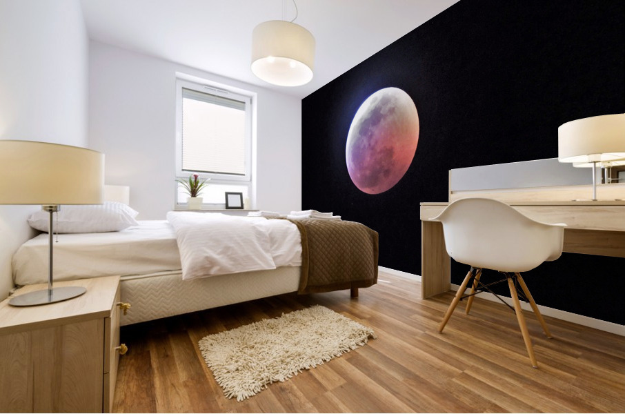 4145 Mural print