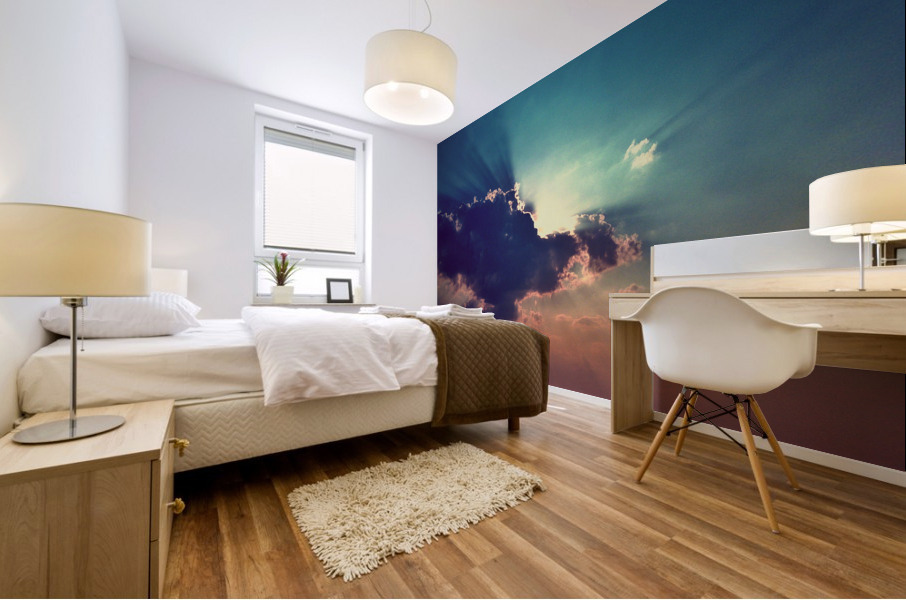 4146 Mural print