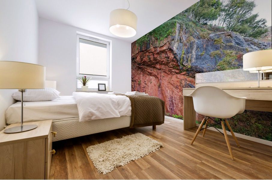 4154 Mural print