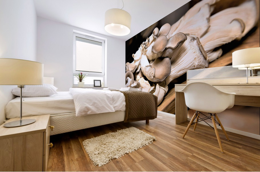 4165 Mural print