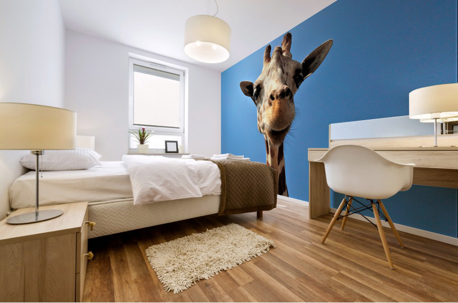 4167 Mural print