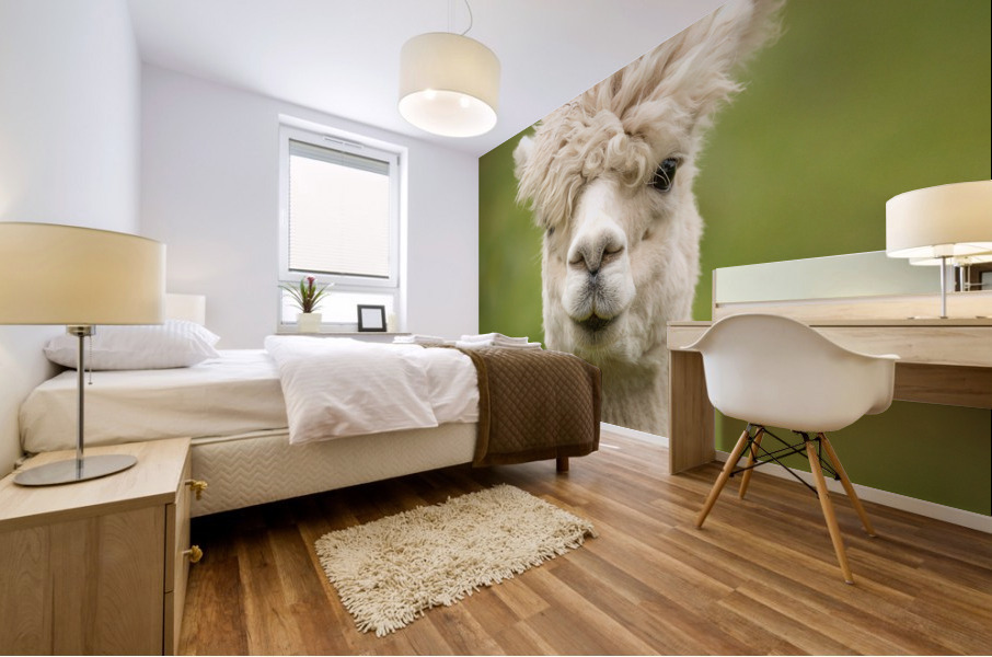 4178 Mural print