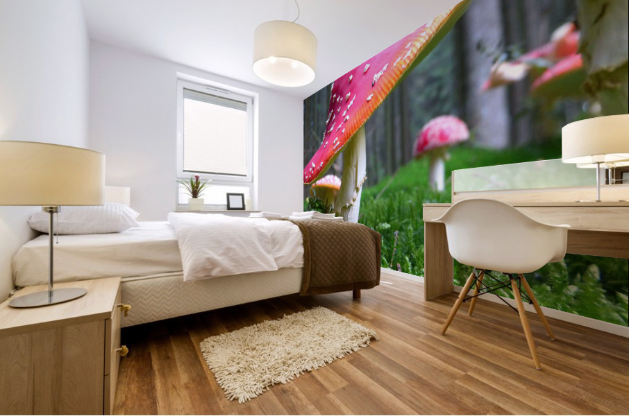 4181 Mural print