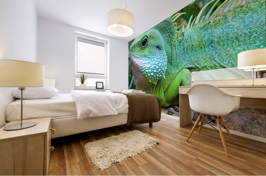 4203 Mural print