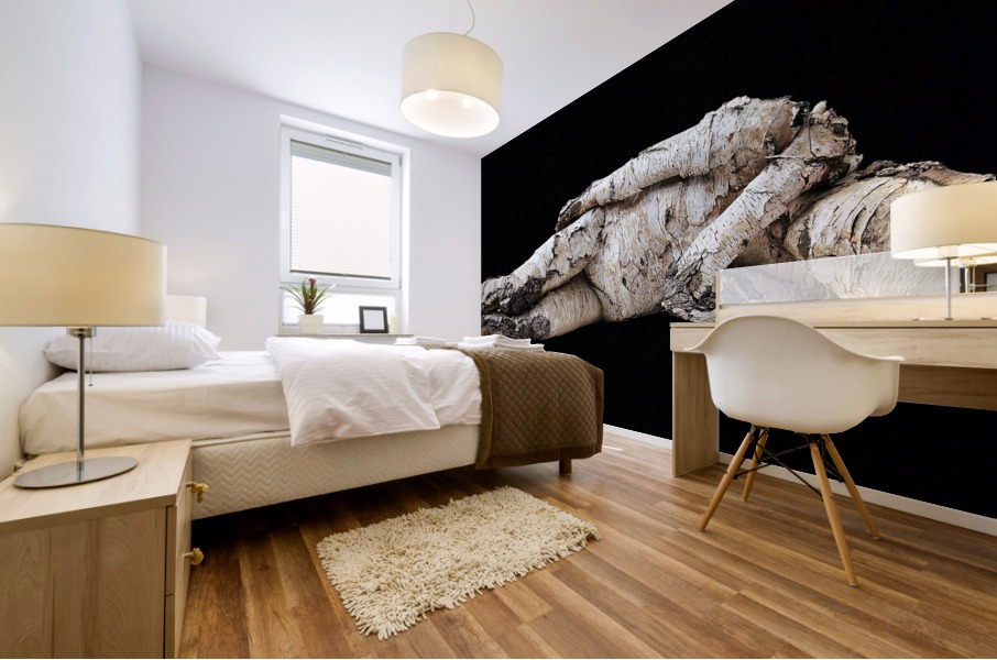 4205 Mural print