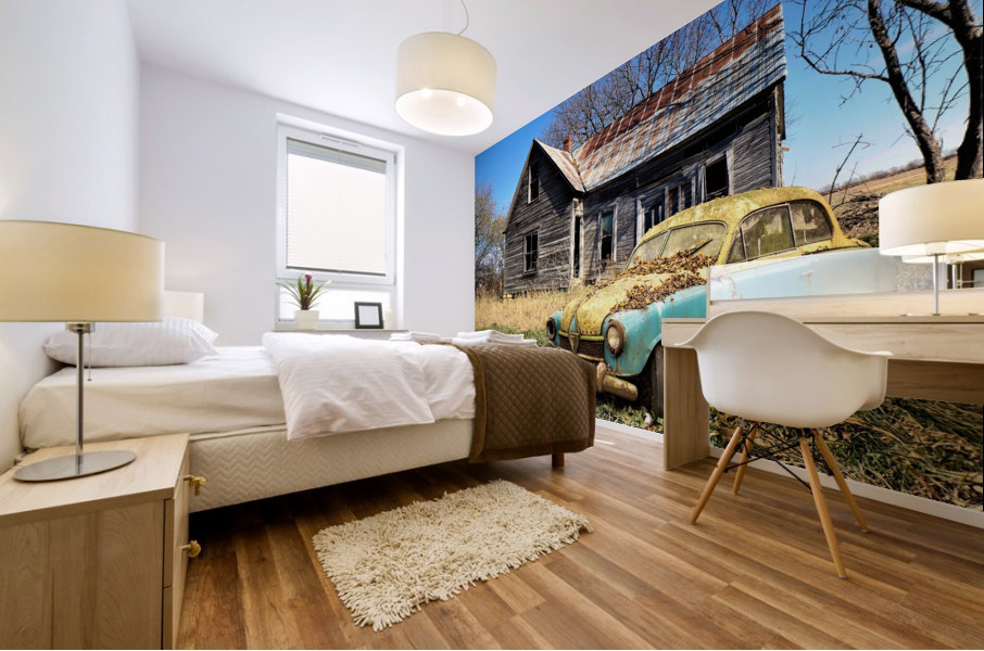 4208 Mural print