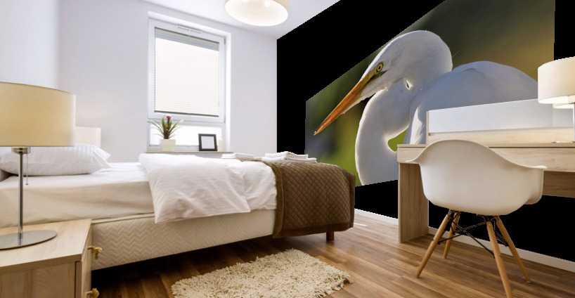 4210 Mural print