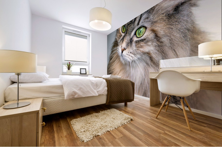 4227 Mural print