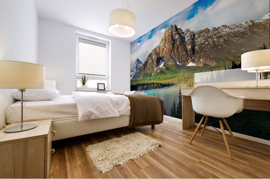 4229 Mural print