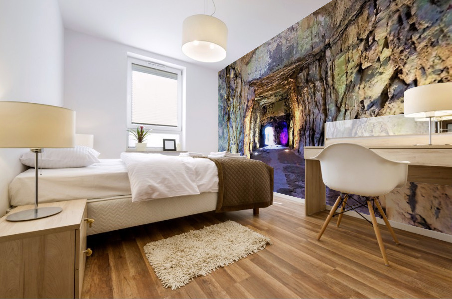 4230 Mural print