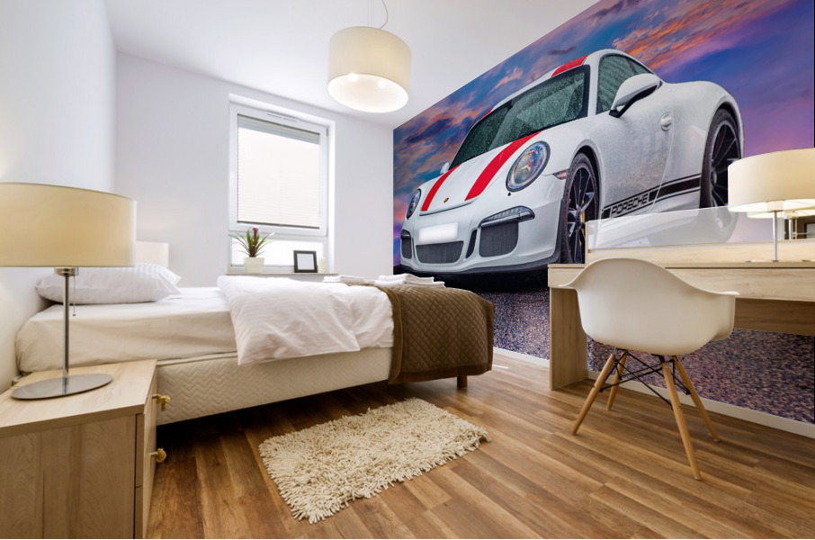 4243 Mural print