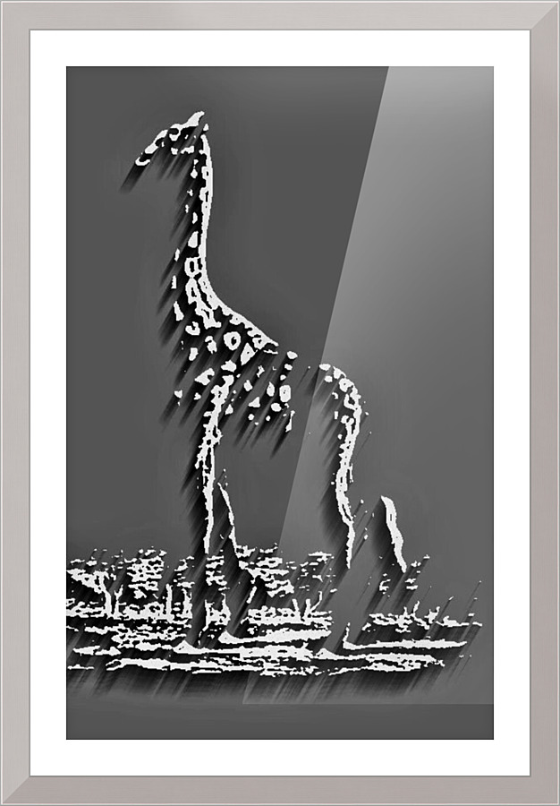 020 Picture Frame print