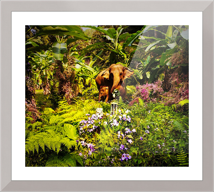 068 Picture Frame print