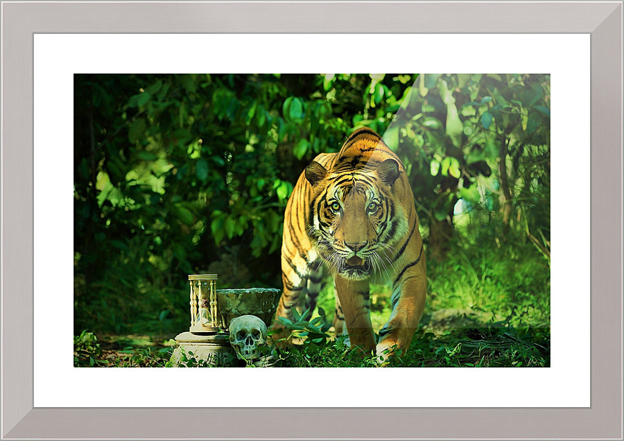 070 Picture Frame print