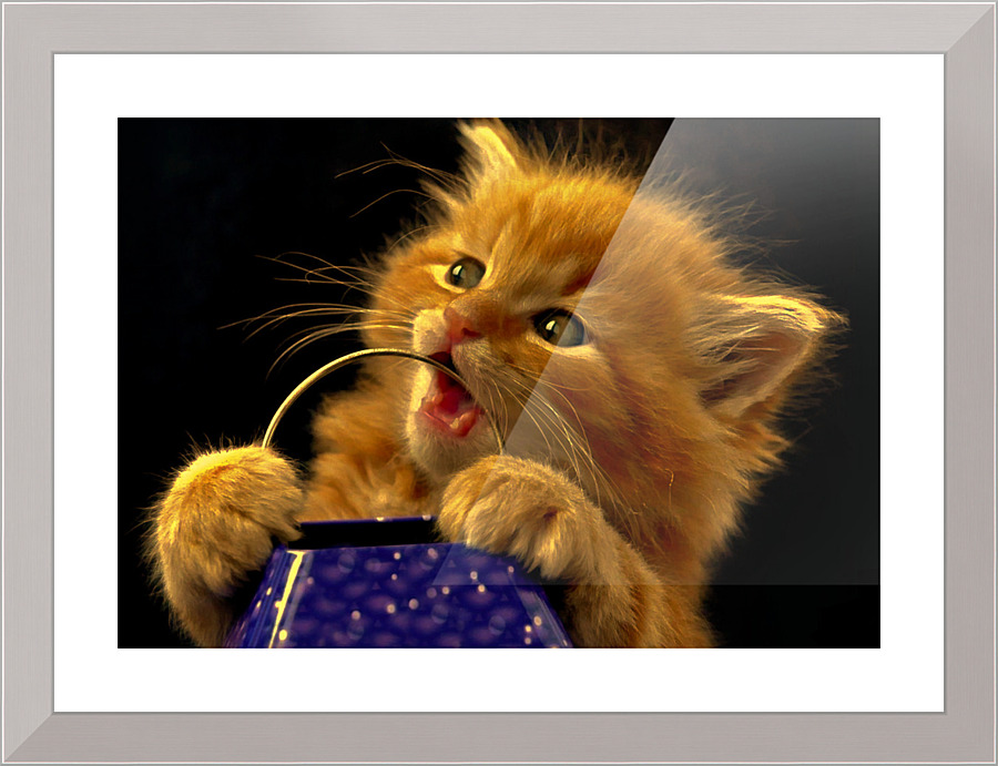 091 Picture Frame print
