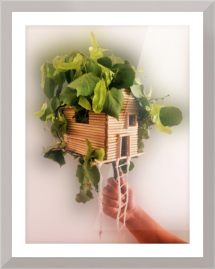 099 Picture Frame print