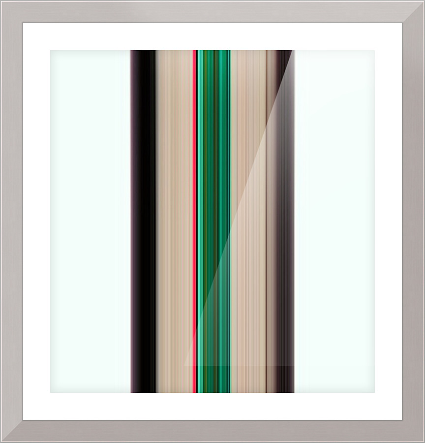 135 Picture Frame print