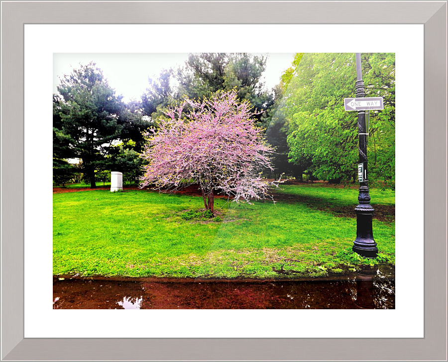 176 Picture Frame print