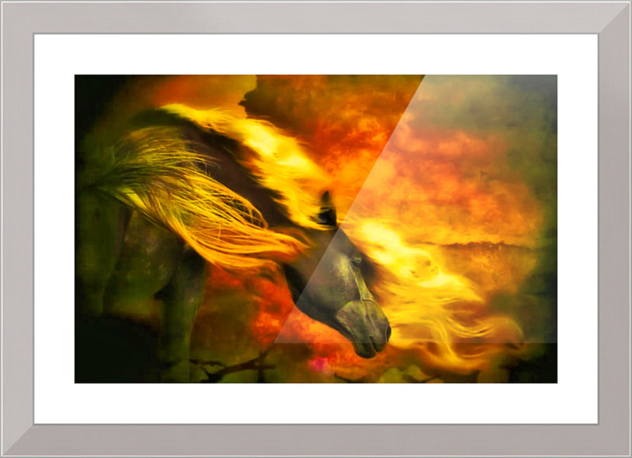 210 Picture Frame print