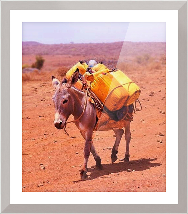 223 Picture Frame print