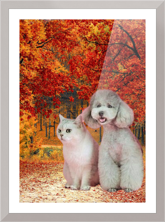 241 Picture Frame print