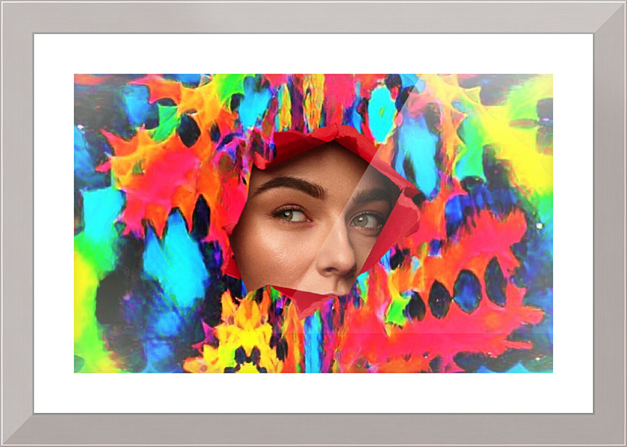 251 Picture Frame print