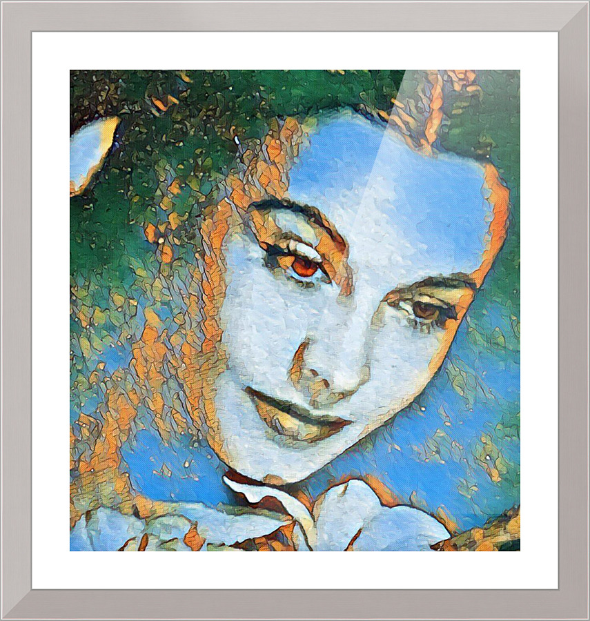 253 Picture Frame print