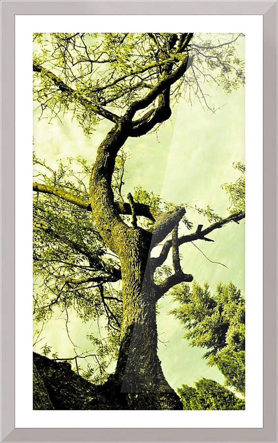 335 Picture Frame print