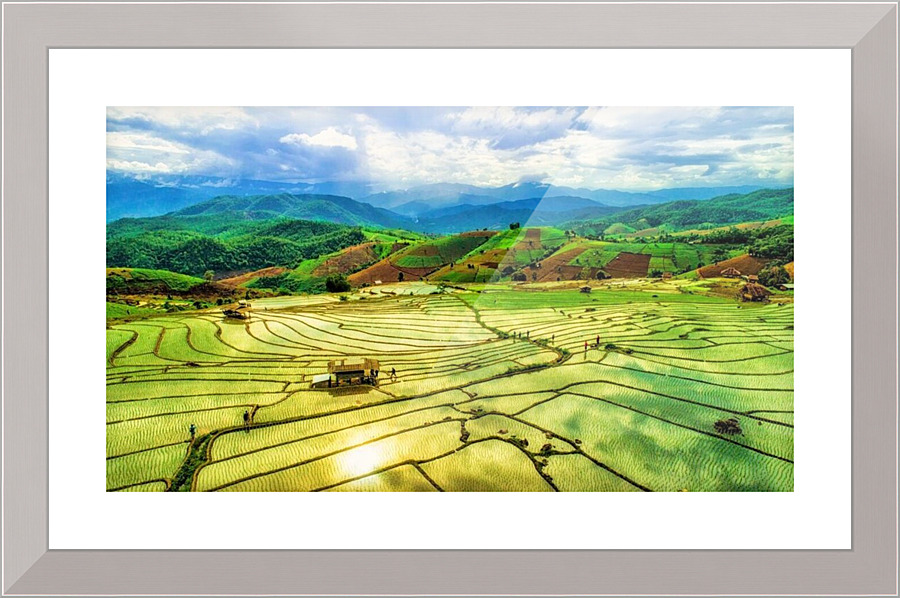337 Picture Frame print