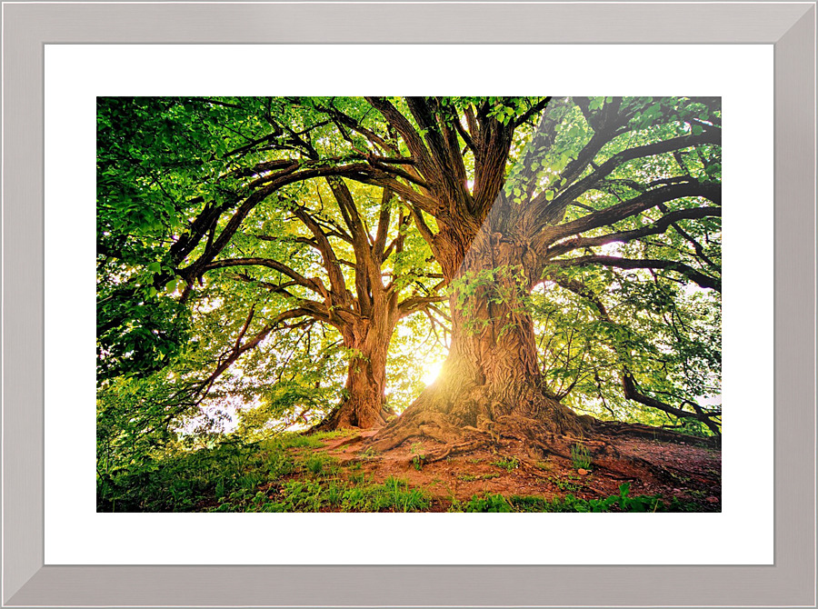 347 Picture Frame print