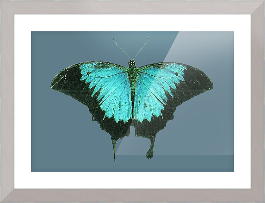 356 Picture Frame print
