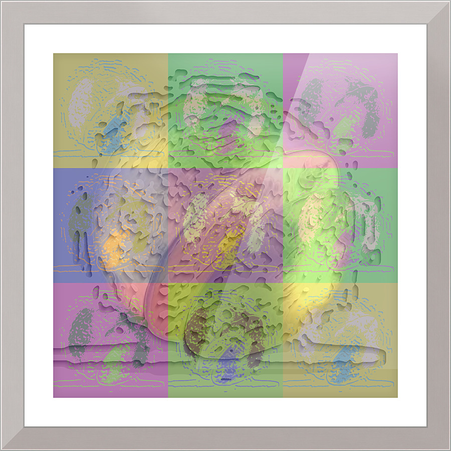 374 Picture Frame print