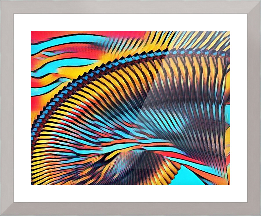 378 Picture Frame print