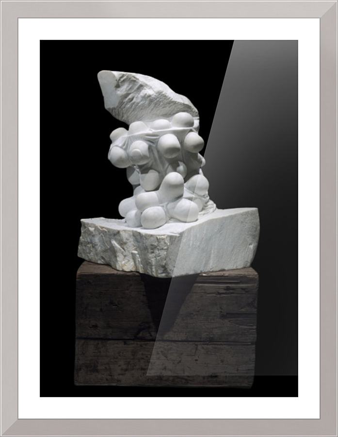 460 Picture Frame print