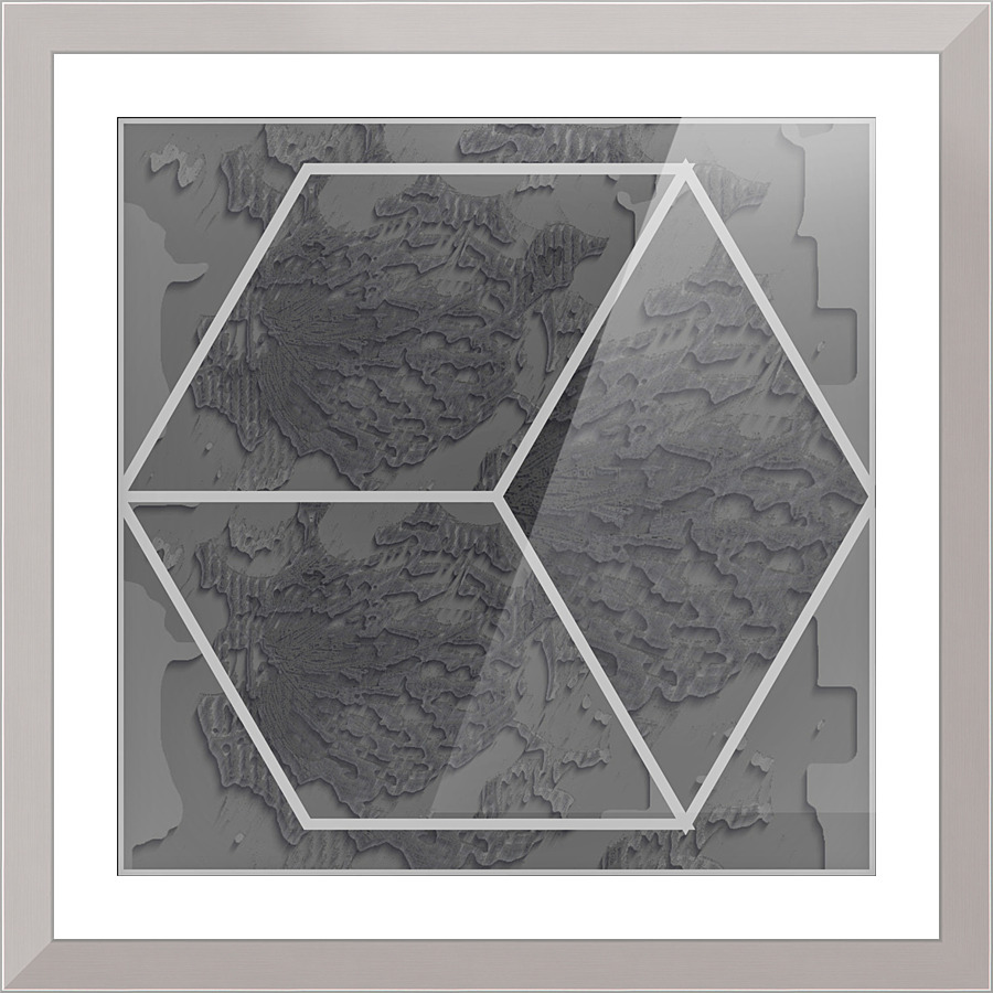 461 Picture Frame print