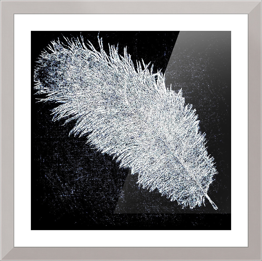 466 Picture Frame print