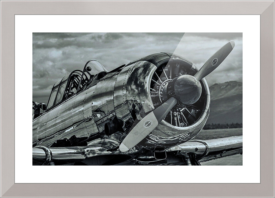 480 Picture Frame print