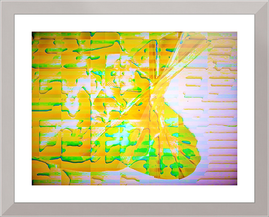 495 Picture Frame print