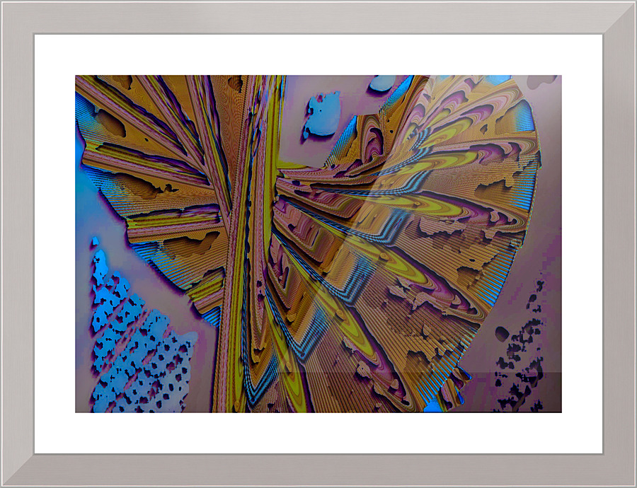 512 Picture Frame print