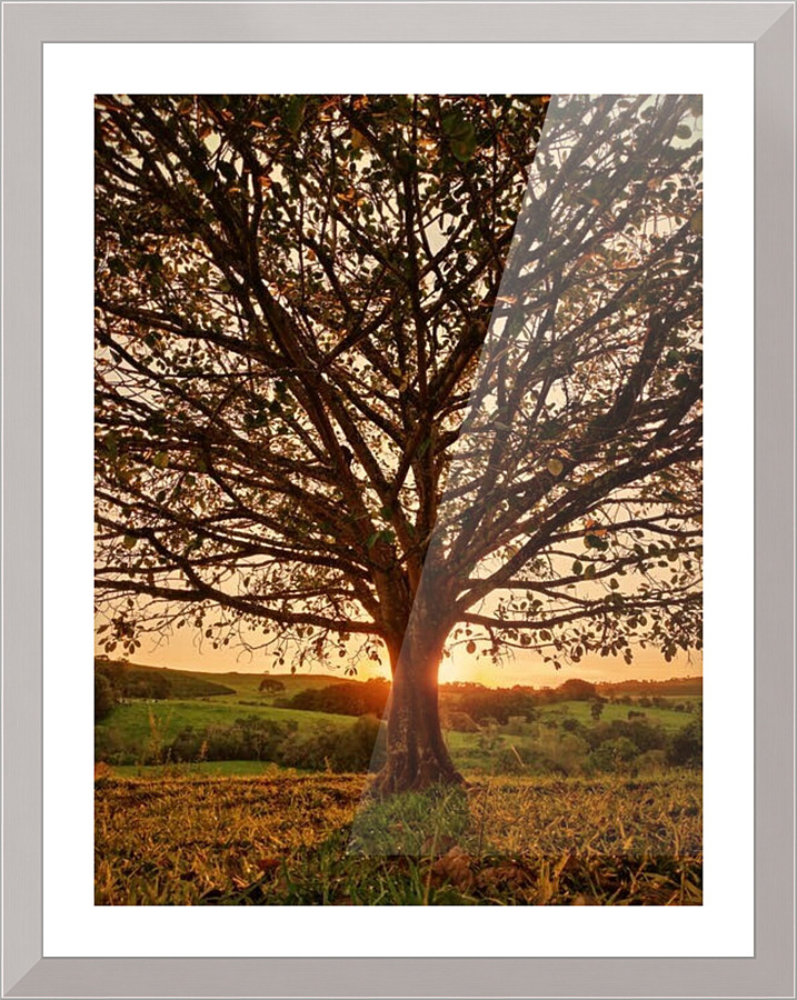 519 Picture Frame print