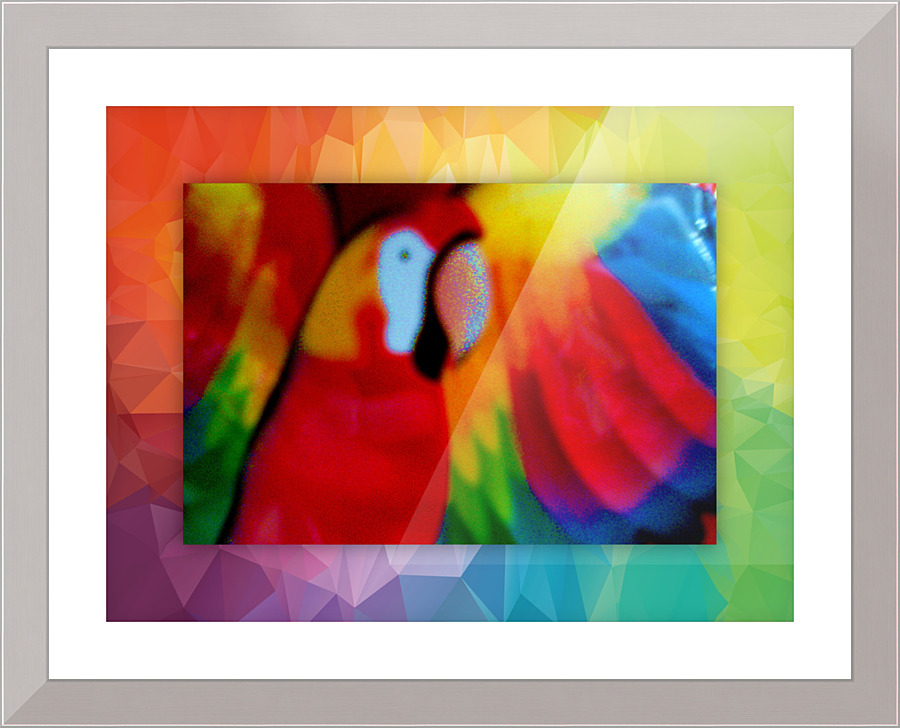 523 Picture Frame print