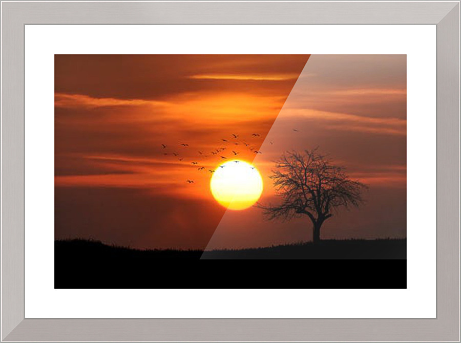 525 Picture Frame print